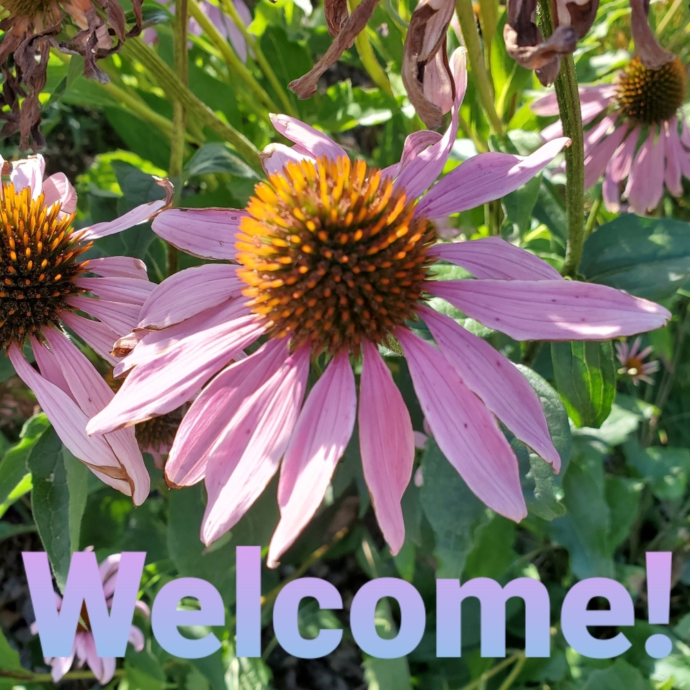 I'm Marla! Thanks for stopping by.
